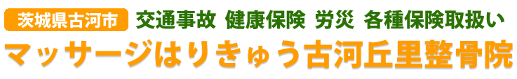 茨城県古河市のマッサージ整体鍼灸整骨院・接骨院です。首､肩､腰､膝をはじめ､体の痛みやケガ､不定愁訴の施術をおこないます。交通事故によるむち打ちや腰痛の施術及び手続き対応いたします。茨城県古河市・結城郡八千代町・結城市・下妻市・猿島郡境町・猿島郡五霞町・坂東市。群馬県邑楽郡板倉町。栃木県下都賀郡野木市､栃木市･埼玉県加須市､久喜市､幸手市･千葉県野田市にお住まい､通勤､通学されている方のご来院お待ちしています。